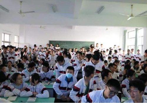 桃都中学家长爆料视频最新,揭秘校园内幕！